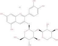 Cyanidin 3-Sambubioside chloride