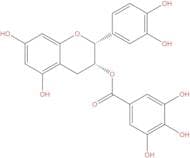 Epicatechin gallate