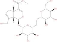 Genipin 1-gentiobioside