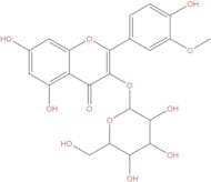 Isorhamnetin-3-O-galactoside