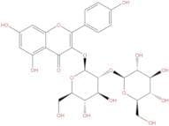 Kaempferol-3-O-sophoroside