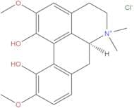 Magnoflorine chloride