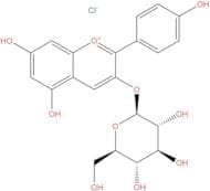 Pelargonidin 3-Glucoside chloride