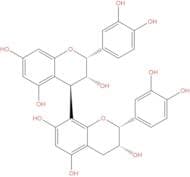 Procyanidin B2