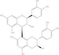 Procyanidin B3