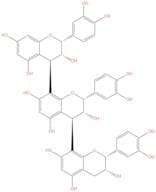 Procyanidin C1