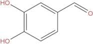 Protocatechualdehyde