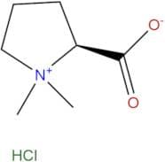 Stachydrine hydrochloride