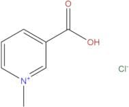 Trigonelline Hydrochloride