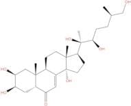 25S-Inokosterone