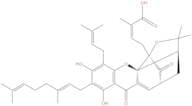 Gambogenic acid