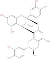 Proanthocyanidin A4