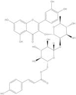 Quercetin 3-O-β-D-(6''-p-coumaroyl)glucopyranosyl(1-2)-α-L-rhamnopyranoside