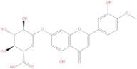 Diosmetin 7-O-β-D-glucuronide