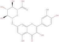 Quercetin 7-O-glucuronide