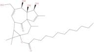 13-Oxyingenol dodecanoat