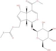 Paederosidic acid methyl ester