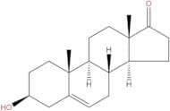 Dehydroepiandrosterone