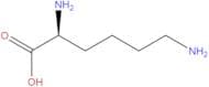 L-Lysine