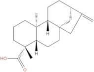 Kaurenoic acid