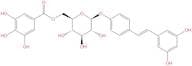 Resveratrol-4'-O-(6"-galloyl)-β-D-glucopyranoside
