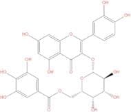 Quercetin 3-O-(6''-galloyl)-β-D-galactopyranoside