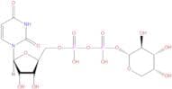 Uridine diphosphate xylose