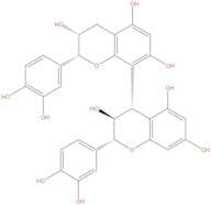 Procyanidin B4