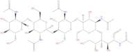 N,N',N'',N''',N''''-Pentaacetyl chitopentaose