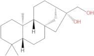 ent-kauran-16β,17-diol
