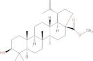 Betulinic acid methyl ester