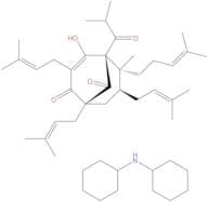 Hyperforin dicyclohexylammonium salt