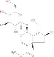 10-Hydroxy majoroside