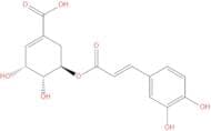 5-O-Caffeoylshikimic acid