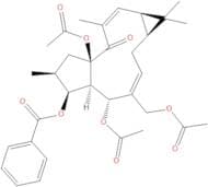 Euphorbia factor L7b