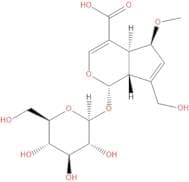 9-epi-6-Methoxygeniposidic acid