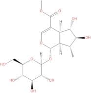6β-Hydroxy-7-epiloganin