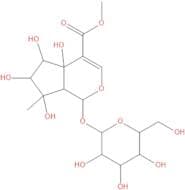 Phloyoside I