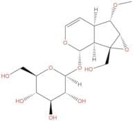 6-O-Methylcatalpol