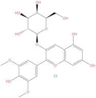 Malvidin-3-O-galactoside chloride