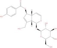 6-O-p-Hydroxybenzoylaucubin