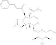 6-O-trans-Cinnamoylphlorigidoside B