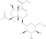 Phlorigidoside B