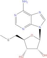 5'-S-Methyl-5'-thioadenosine