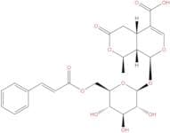 6'-O-Cinnamoyl-8-epikingisidic acid