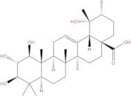 1,2,3,19-Tetrahydroxy-12-ursen-28-oic acid