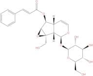 6-O-Cinnamoylcatalpol