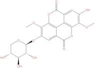 3-O-Methylducheside A