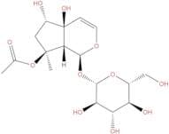 6-Epi-8-O-acetylharpagide