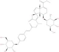 Protoplumericin A